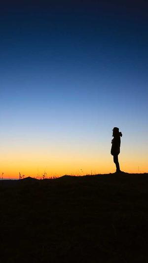 绿茶影视泛目录站群截图3