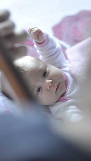 蜘蛛池的虫子叫什么截图1