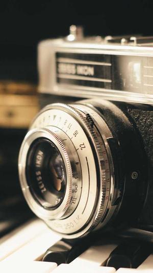 站群,泛目录截图5