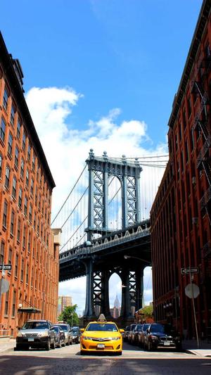 陈默蜘蛛池8.6截图2