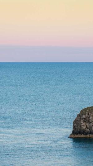 seo排名软件截图5