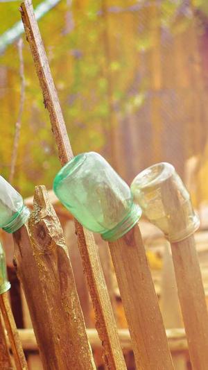 哪个蜘蛛池好用截图2