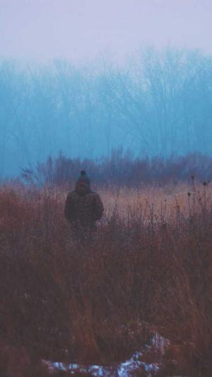 逆冬蜘蛛池课程截图2