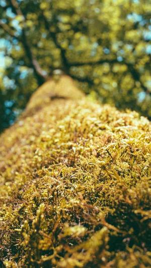 章丘网站建设截图2