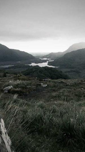 谁有百度蜘蛛池的网截图3