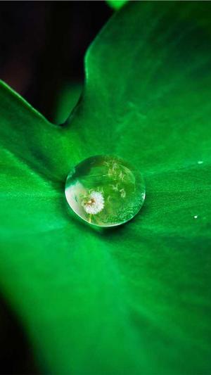 零距离泛目录v芯seo365t截图2