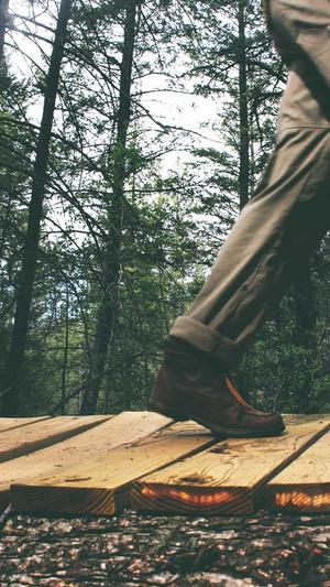 seo检测工具截图4