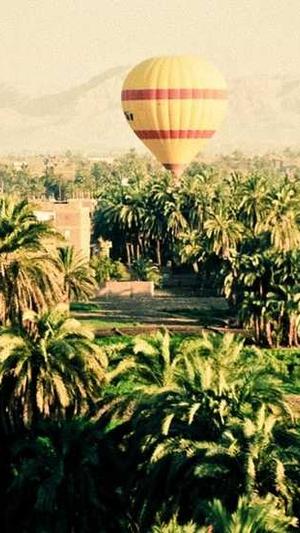 蜘蛛池出租是什么意思截图3