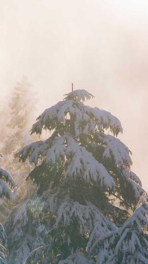 二级泛目录霸屏源码截图1