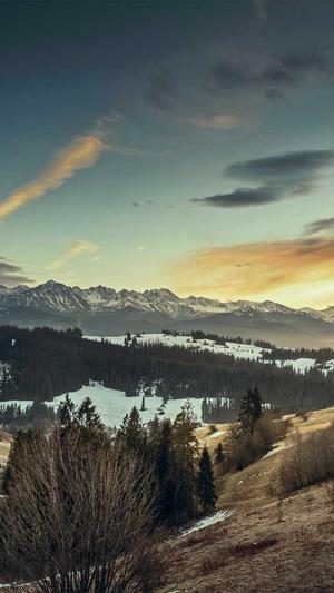 宁波外贸网站建设截图5