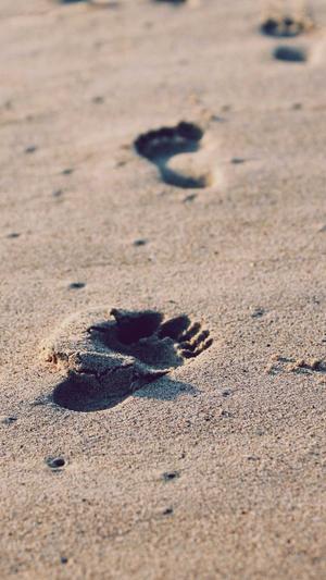 蜘蛛池百度不抓截图1