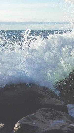 seo统计工具截图3