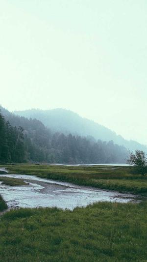 seo工具是什么截图1