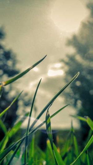 北京做网站建设公司截图2