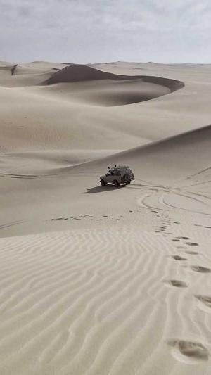 seo文章优化截图2