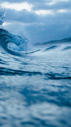 潍坊seo优化截图2