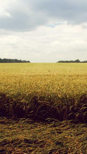 泛目录推送有什么用截图1