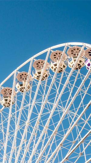 seo辅助工具截图2