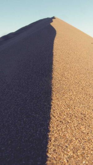 免费建设网站那个好截图1