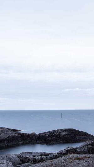 平顶山网站建设截图2