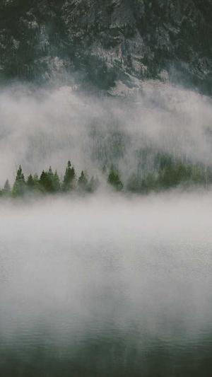 泉州seo排名工具截图4