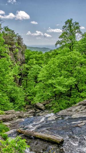 上海seo排名优化工具截图3