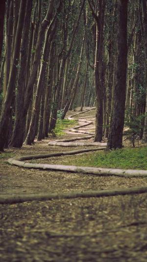 哪个蜘蛛池好用截图5