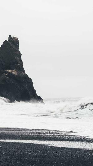 seo统计工具截图1