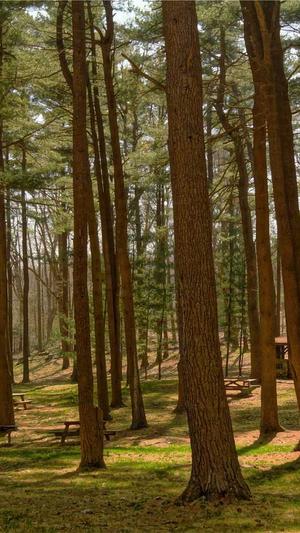 企业内部网站建设截图1