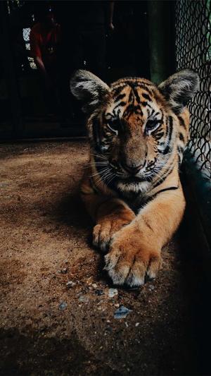 蜘蛛池运营利润如何算截图3