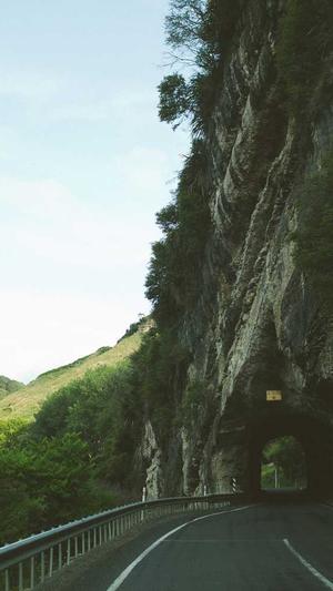 seo优化工具技巧截图1