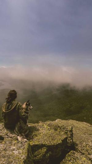 蜘蛛池多ip截图2