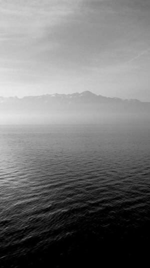 专业的网站建设公截图1