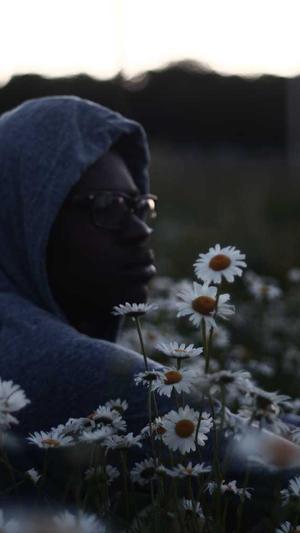 龙岗网站建设截图3