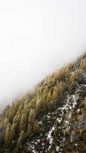 seo工具换链教程截图2