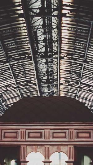 小旋风万能蜘蛛池模板截图3