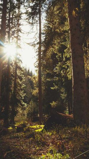 seo网络营销截图2