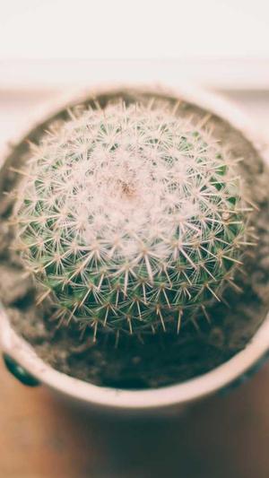 seo查询站长工具运营截图1