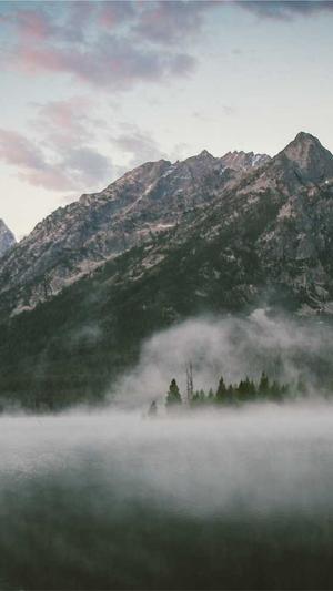 企业网站建设平台截图3