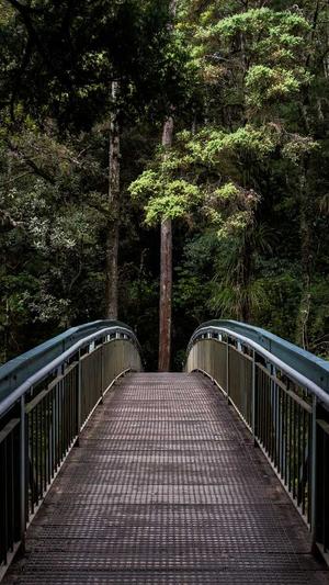 做泛目录需要什么资源截图4