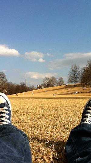 建设一个企业网站截图1