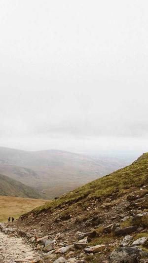 网排名工具seo截图2