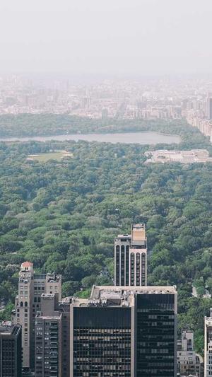 泛目录排名原理及讲解截图2