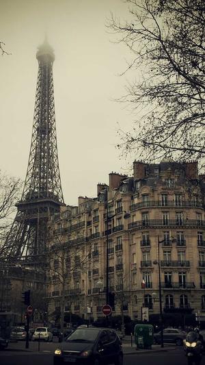 黑帽泛目录站群截图1