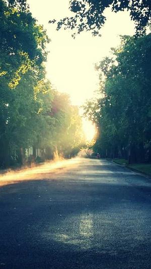 seo综合查询一站长工具截图2