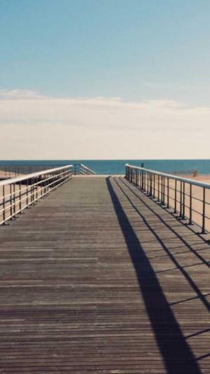 东营网站建设截图1