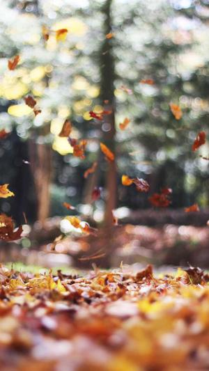 合肥网站网站建设截图4