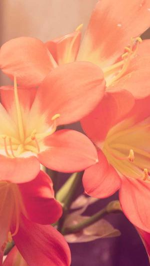 蜘蛛池服务器配置要求截图2