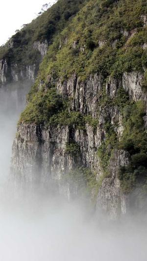 阿里蜘蛛池有用吗截图3