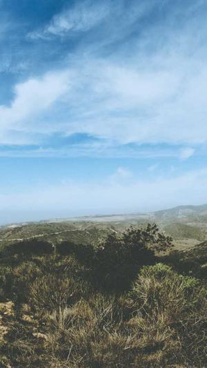 seo排名工具怎么用截图1